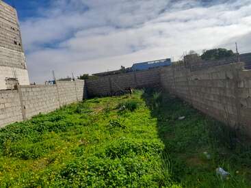 This image shows an empty, fenced-in lot with green grass and weeds growing. Brick walls surround the area, with some buildings visible in the background.