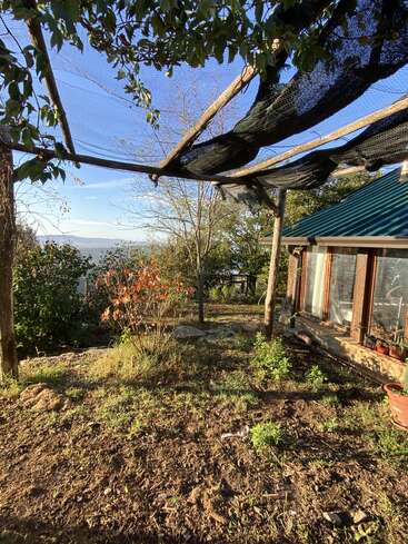 A sunlit garden with sparse plants, dry soil, and a partially torn net canopy sits beside a house with large windows and a blue metal roof.