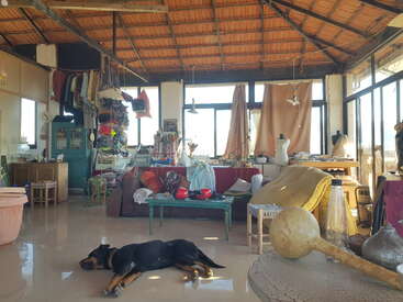 A cozy, sunlit room with eclectic decor, colorful fabrics, scattered furniture, creative clutter, and a black dog peacefully sleeping on the shiny floor under a wooden ceiling.