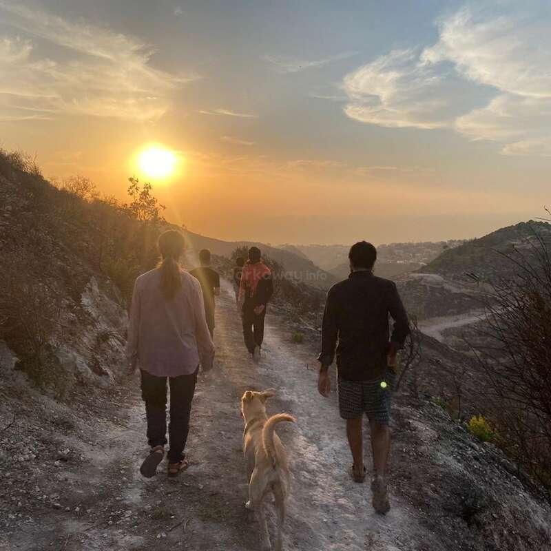 A group of people and a dog walk along a dirt path through rocky hills, heading toward a beautiful sunset with a colorful, cloud-filled sky.