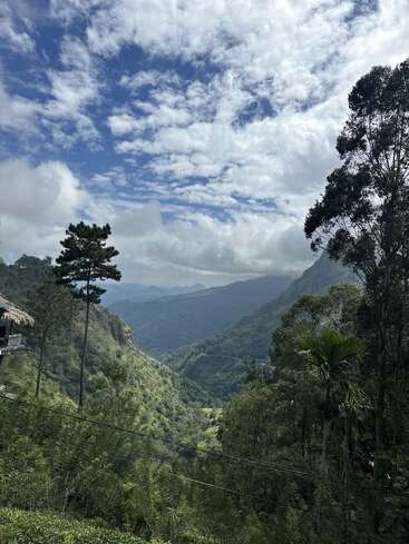 Colinas verdes onduladas se estendem sob um céu espetacular, repleto de nuvens fofas. Árvores altas emolduram o vale exuberante, criando uma paisagem montanhosa serena e de tirar o fôlego.