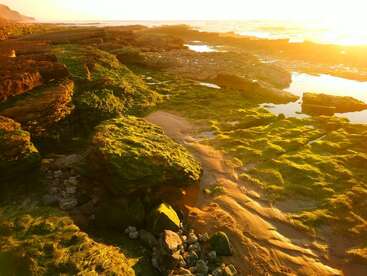 Goldenes Sonnenlicht taucht eine felsige, mit grünem Moos bewachsene Küste. In den Gezeitentümpeln spiegelt sich der Himmel, während die Wellen in der Ferne vor einem ruhigen Horizont rauschen.