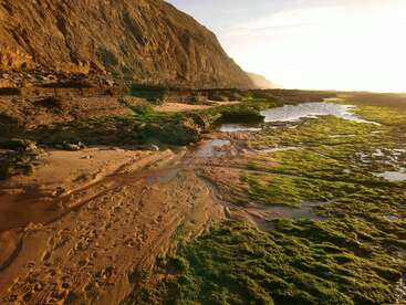 Goldenes Sonnenlicht taucht eine zerklüftete Küstenlandschaft mit Klippen, sandigen Pfaden und leuchtend grünem Seegras. Kleine Gezeitentümpel reflektieren den Himmel und schaffen eine ruhige, natürliche Schönheit.