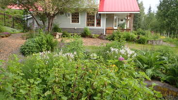 Une maison chaleureuse au toit rouge est entourée d'un jardin luxuriant et fleuri, de feuillage vert, de fleurs sauvages, d'allées de gravier et d'arbres en arrière-plan.