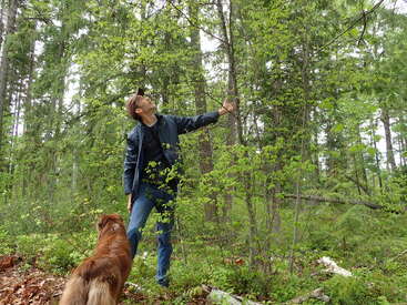 Ein Mann mit Mütze und Jacke steht in einem üppig grünen Wald und betrachtet die Äste der Bäume, während ein brauner Hund ihn neugierig beobachtet. Eine natürliche, friedliche Szene.