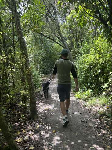 Ein Mann geht mit einem schwarz-weißen Hund auf einem schattigen Waldweg spazieren. Das Sonnenlicht fällt durch die grünen Blätter und schafft eine ruhige, natürliche Outdoor-Szenerie.