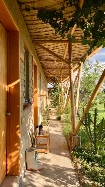 Um corredor iluminado pelo sol com telhado de bambu, portas de madeira, botas em um banco, trepadeiras frondosas sobre a cabeça, plantas verdes exuberantes e uma atmosfera tranquila e rústica na natureza.