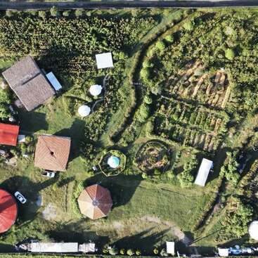 Das Bild zeigt einen weitläufigen Außenbereich mit viel Grün, einer Mischung aus Bäumen, Gras und Pflanzen, mit einem markanten Gebäude oder einer Struktur im Hintergrund.