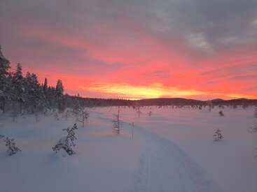 A breathtaking winter landscape with snow-covered ground and trees, set beneath a vibrant pink and orange sunset sky, creating a peaceful and serene atmosphere.