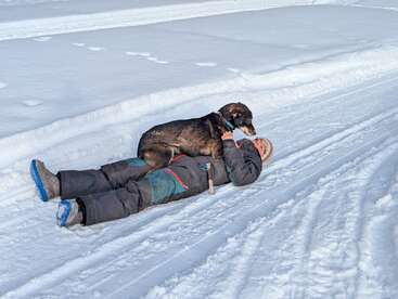 A person dressed in winter clothing lies on snowy ground, smiling as a large dog affectionately sits on their chest. Tracks in the snow surround them.