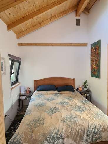 This cozy bedroom features a wooden ceiling, large bed with nature-themed bedding, two dark pillows, nightstands, an open window, houseplants, and colorful wall art.