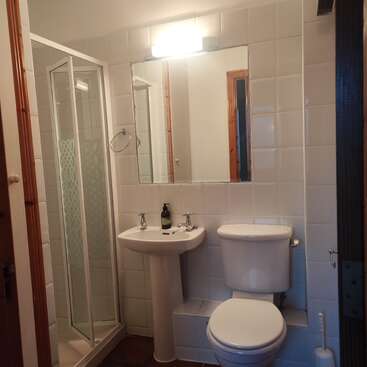 Das ist ein kleines, ordentlich eingerichtetes Badezimmer mit einer Duschkabine, einem Standwaschbecken, einer Toilette, einem großen Wandspiegel, weißen Fliesen und einer hellen Deckenbeleuchtung.
