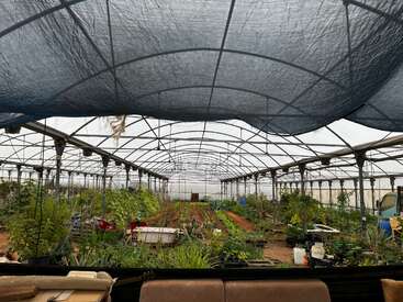 Essa foto mostra o interior de uma grande estufa. Fileiras de plantas crescem sob um telhado protetor, cercadas por ferramentas, vasos e equipamentos de jardinagem.