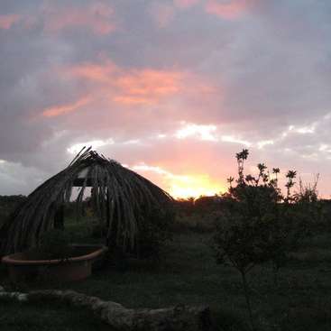 The image depicts a serene sunset scene, featuring a hut constructed from thatched material, a water trough, and a tree branch, set against a cloudy sky.
