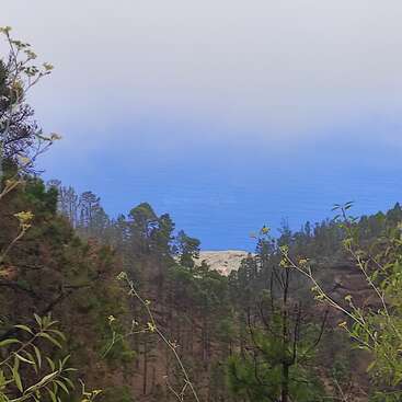 La imagen representa un paisaje sereno con árboles y arbustos, un cielo azul y una colina o montaña como telón de fondo.