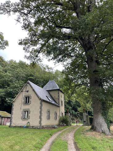 A charming old house with a slate roof sits beside a winding dirt path, flanked by a towering tree and lush green woods, creating tranquility.