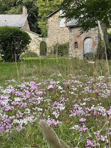 A rustic stone house stands in the background, surrounded by greenery. The foreground features a vibrant meadow dotted with lovely pink and white wildflowers.