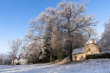Une scène hivernale pittoresque avec des arbres recouverts de givre, un ciel bleu limpide et de charmantes maisons en pierre baignées de soleil, entourées d'un manteau de neige fraîche.