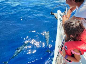 L'image représente une famille sur un bateau, observant des dauphins nageant dans l'océan, la mère et l'enfant se penchant sur la rambarde et portant des gilets de sauvetage.