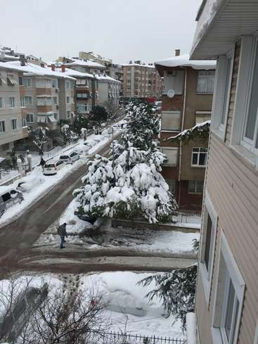 Das Bild zeigt eine schneebedeckte Straße in einem Wohngebiet mit einer Reihe von Gebäuden, Autos und Bäumen und einer Person, die auf dem Bürgersteig geht.