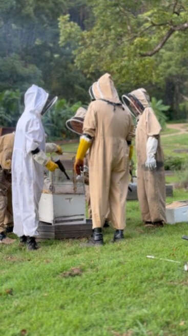 Several people dressed in protective beekeeping suits are gathered around beehives in a green, outdoor setting, carefully tending to the bees and hives.