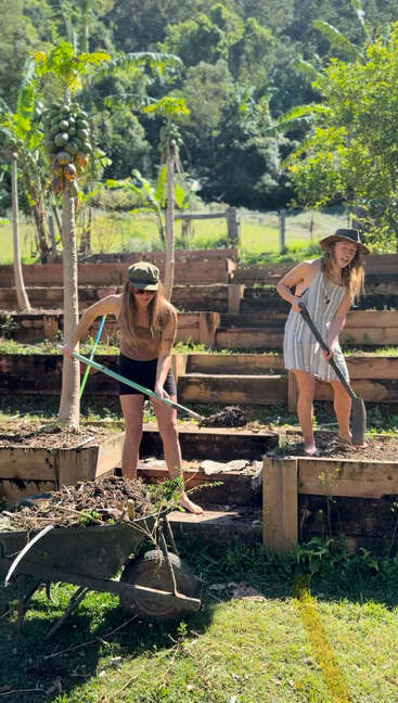Two women are gardening outdoors on a sunny day, using shovels in raised beds. Tropical fruit trees, a wheelbarrow, and lush greenery surround them.