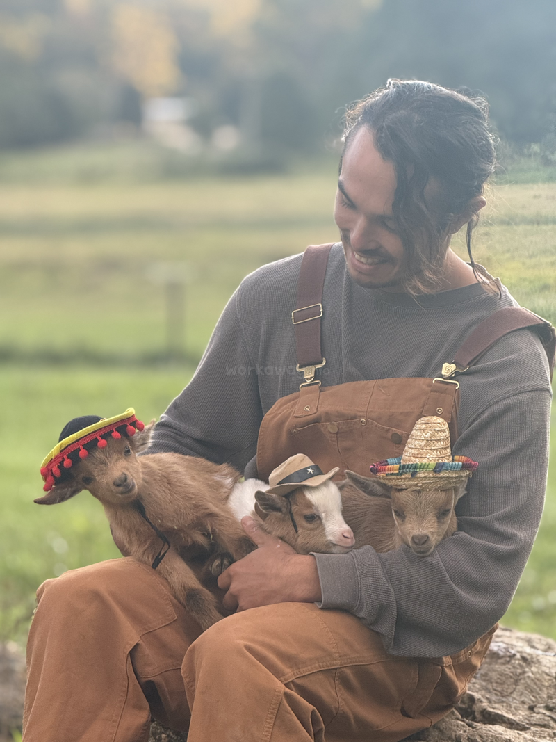 A man wearing brown overalls smiles while holding three adorable baby goats. Two goats wear festive hats, creating a joyful and heartwarming scene in a green field.