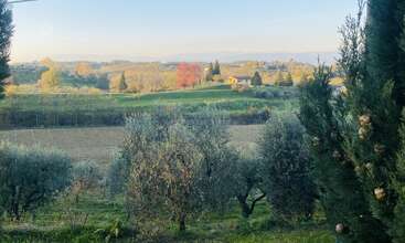Uma paisagem rural tranquila com oliveiras em primeiro plano, colinas verdes ondulantes, árvores com cores de outono, uma casa de fazenda distante, sob um céu azul claro. Sereno e convidativo.