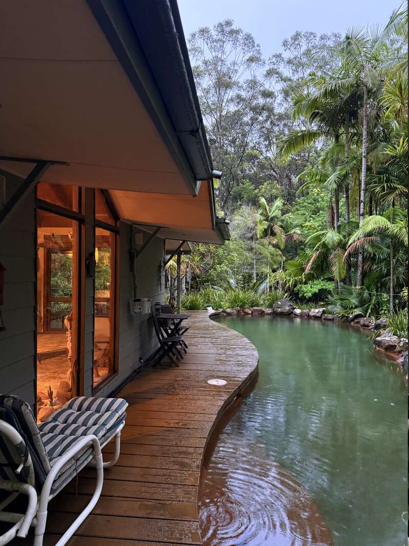 A cozy house with large windows overlooks a serene, natural pool surrounded by lush tropical trees and plants. Wooden deck with seating enhances tranquility and relaxation.