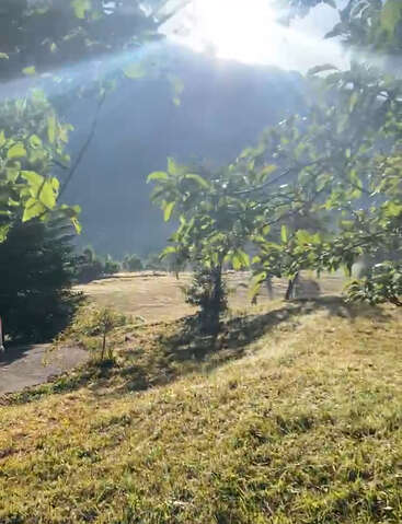 La lumière du soleil brille sur un champ verdoyant et herbeux, partiellement ombragé par des branches d'arbres vertes en surplomb. Des montagnes et des arbres remplissent l'arrière-plan paisible et pittoresque.