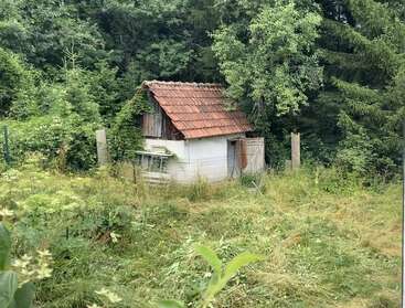 Un petit hangar ancien au toit de tuiles rouges se dresse dans une zone herbeuse envahie par la végétation, entourée d'arbres verts denses et partiellement clôturée par un grillage.