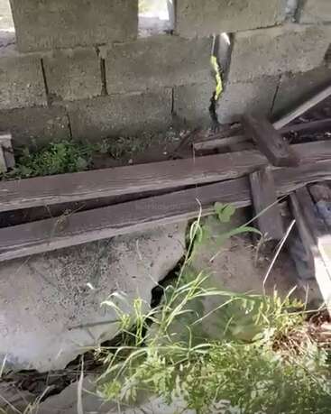 Tábuas de madeira quebradas e pedaços de concreto espalhados estão sobre uma parede de blocos de concreto rachada. Grama alta e ervas daninhas crescem ao redor dos detritos, indicando negligência e exposição ao ar livre.