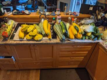 A kitchen counter covered with various fresh garden vegetables: zucchinis, yellow squash, pattypan squash, cucumbers, peppers, and kitchen tools in the background.