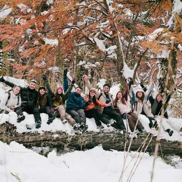 Eine Gruppe von Freunden sitzt zusammen auf einem verschneiten Baumstamm und posiert fröhlich in einem Winterwald mit Herbstblättern und Schnee, um ein lustiges Outdoor-Abenteuer zu erleben.