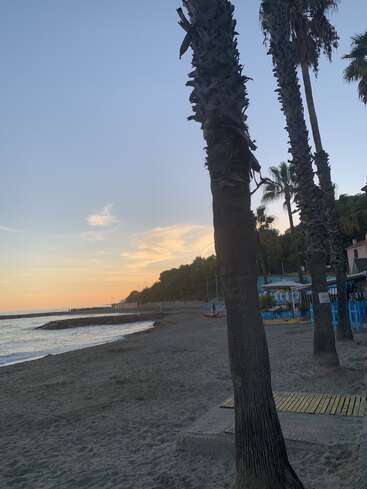 A imagem retrata uma cena serena de praia ao pôr do sol, com palmeiras, uma costa arenosa e um céu vibrante com tons de laranja e azul.