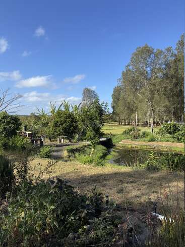 Une scène de campagne sereine avec des arbres verdoyants, un petit ruisseau, des zones herbeuses, des bancs, et un ciel bleu vif rempli de nuages épars au-dessus.