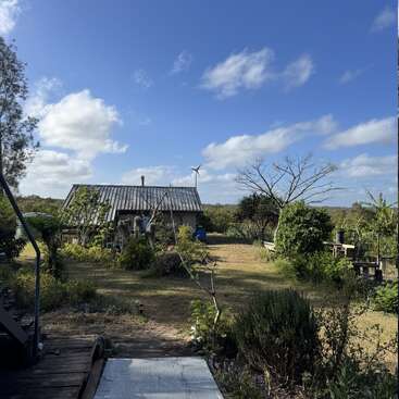 Une petite maison au toit métallique se trouve dans un jardin luxuriant et ensoleillé. Un ciel bleu, des nuages épars et une éolienne complètent cette scène rurale paisible.