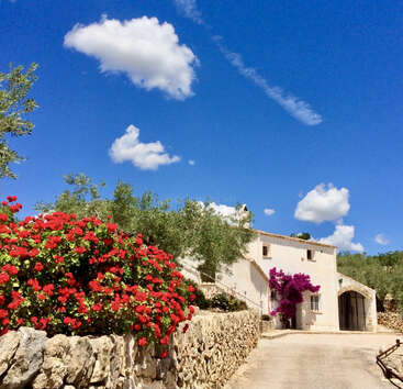Das Bild zeigt ein ruhiges weißes Gebäude mit einer Steinmauer und leuchtend roten Blumen vor einem malerischen blauen Himmel mit bauschigen Wolken.