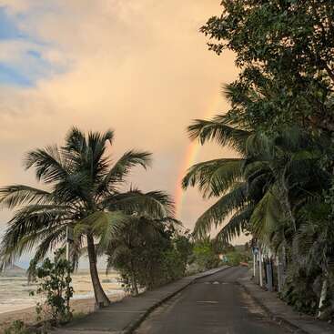Eine schmale Küstenstraße, gesäumt von üppigen Palmen, schlängelt sich am Strand entlang, während in der Nähe die Wellen brechen und sich ein leuchtender Regenbogen über den goldenen Himmel spannt.
