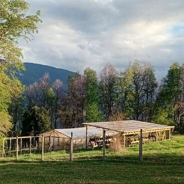 A greenhouse and a shaded plant nursery are set in a green field, surrounded by trees, with mountains and a cloudy sky in the background.