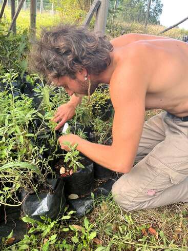Un homme torse nu aux cheveux bouclés est agenouillé à l'extérieur, s'occupant de plantes feuillues dans des sacs de culture noirs. Il semble concentré, entouré de verdure et de lumière naturelle.