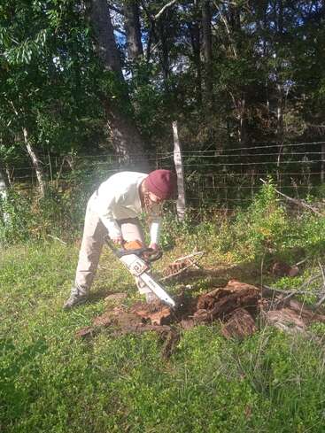 A person wearing a beanie and gloves uses a chainsaw to cut a large piece of wood on the ground, surrounded by lush greenery and trees.