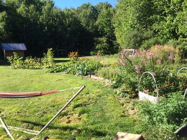 The image depicts a serene backyard scene, featuring a lush green lawn, vibrant flowers, and a hammock, with trees and a shed in the background on a sunny day.