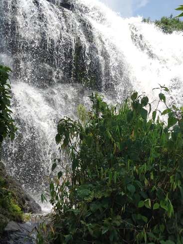 A potente cachoeira desce em cascata pelas rochas escuras, criando um spray de espuma branca. A folhagem verde e exuberante em primeiro plano realça a beleza natural e vibrante sob um céu azul claro.