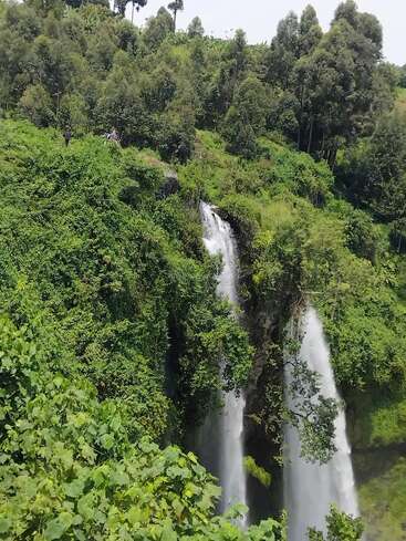 Esta imagem mostra uma floresta verde e exuberante com uma bela cachoeira dupla caindo em cascata por um penhasco rochoso, cercada por vegetação densa e alguns observadores distantes.