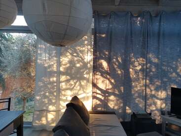 La imagen representa una habitación serena con una gran ventana, cortinas blancas y un sofá, bañada por la luz del sol que se filtra entre los árboles del exterior.