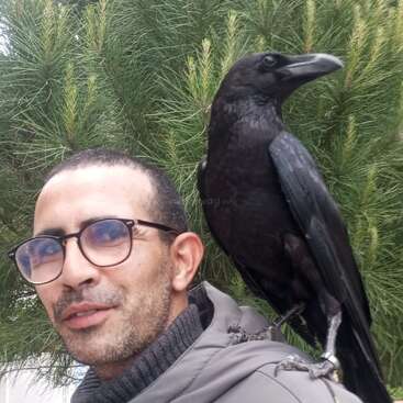 Un hombre con gafas y barba bien recortada está de pie al aire libre, frente a unos pinos. Un gran cuervo negro se posa tranquilamente en su hombro, con la mirada perdida.