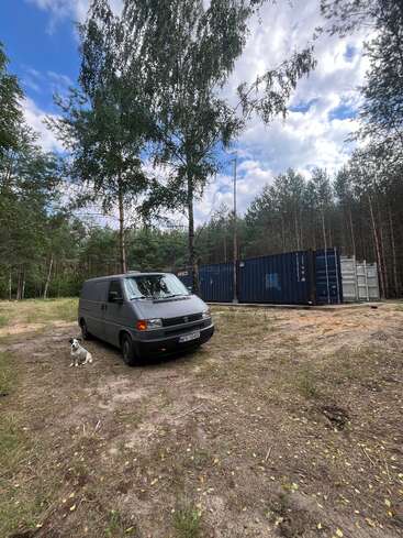 A grey van and a white dog are parked in a clearing surrounded by tall trees, with a blue shipping container nearby under a cloudy sky.