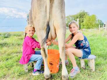 Deux jeunes filles aux cheveux tressés sont assises sur des tabourets en bois et traient ensemble une vache dans une ferme verdoyante et ensoleillée. Elles sourient toutes les deux à la caméra.