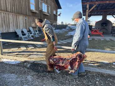 Deux personnes vêtues de tenues de travail d'extérieur transportent un gros morceau de viande crue devant un bâtiment rustique, par une journée froide et ensoleillée où il y a un peu de neige.